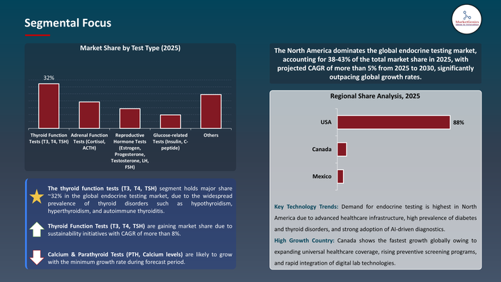 Endocrine Testing Market - Segmental Focus