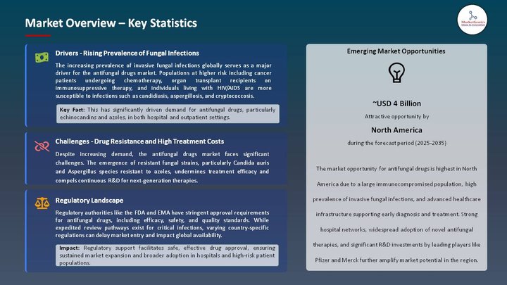 Antifungal Drugs Market Market Overview – Key Statistics