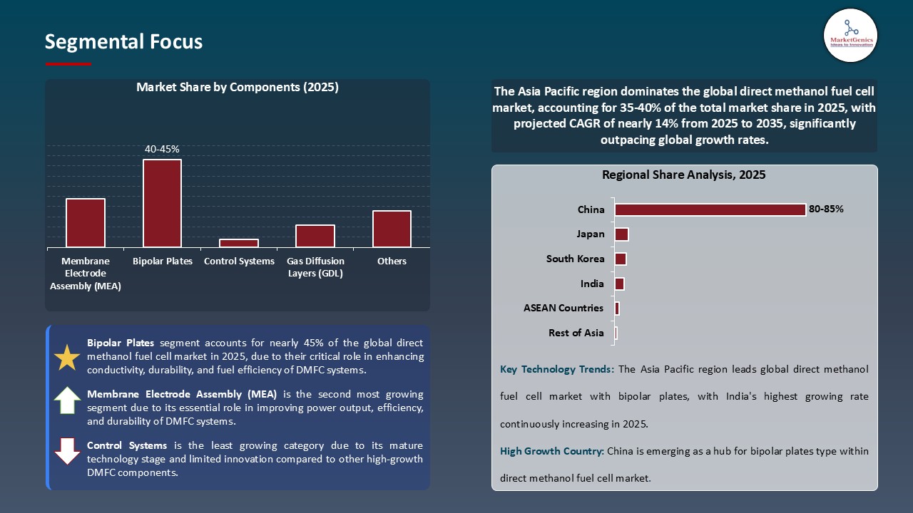 Direct Methanol Fuel Cell Market_Segmental Focus