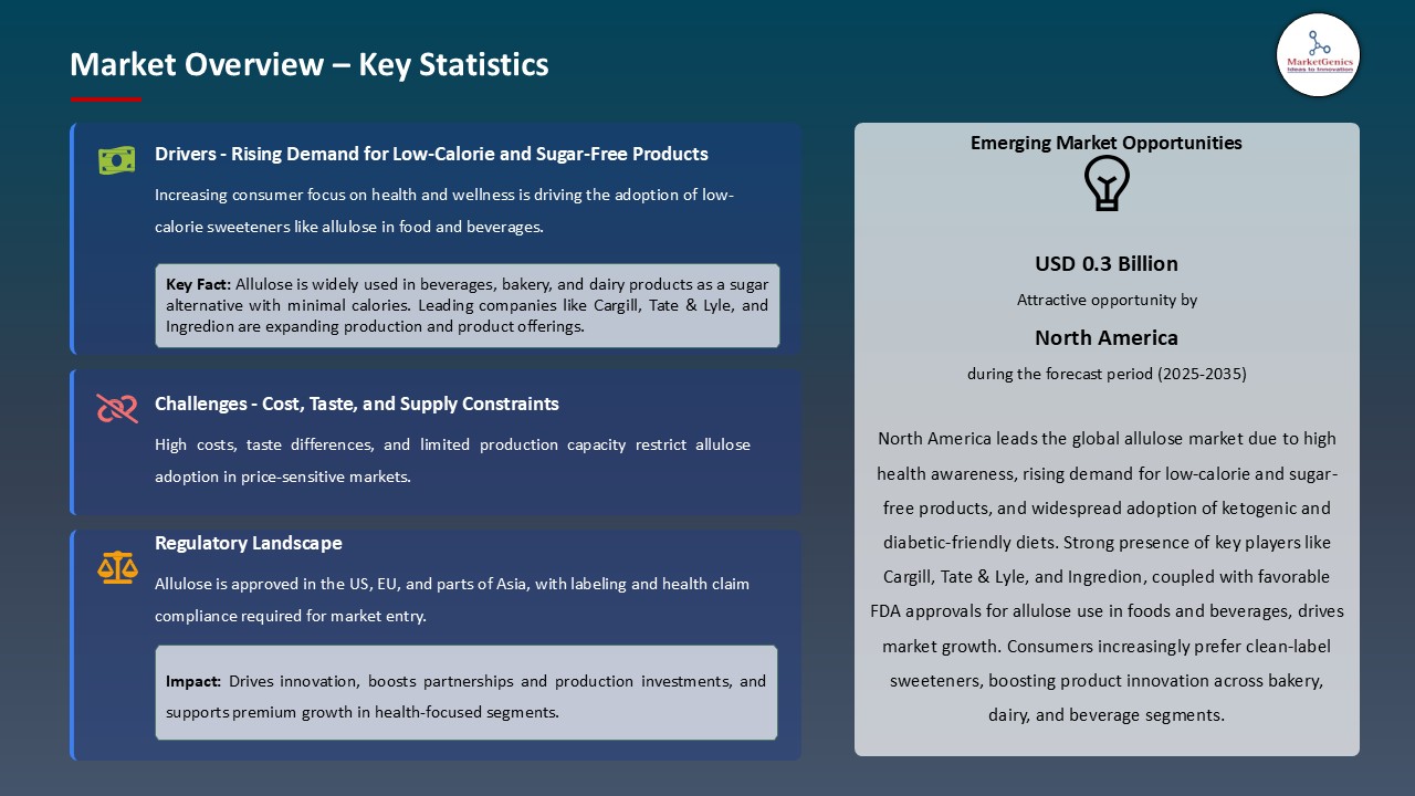 Allulose Market_Overview – Key Statistics