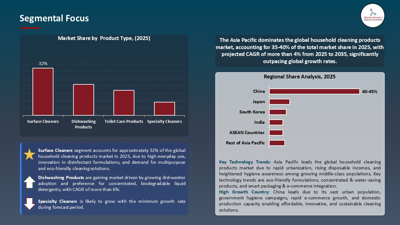Household Cleaning Products Market_Segmental Focus