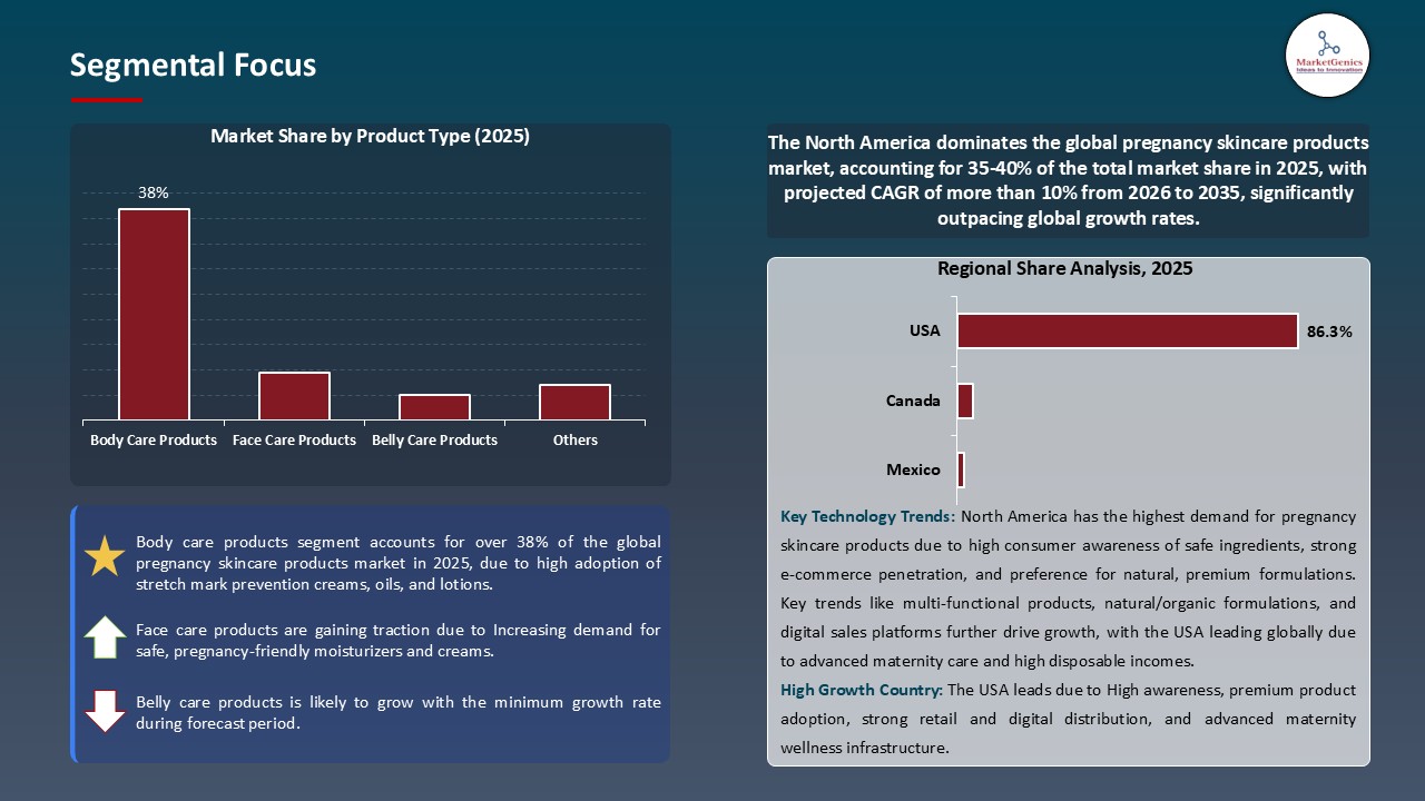 Pregnancy Skincare Products Market_Segmental Focus