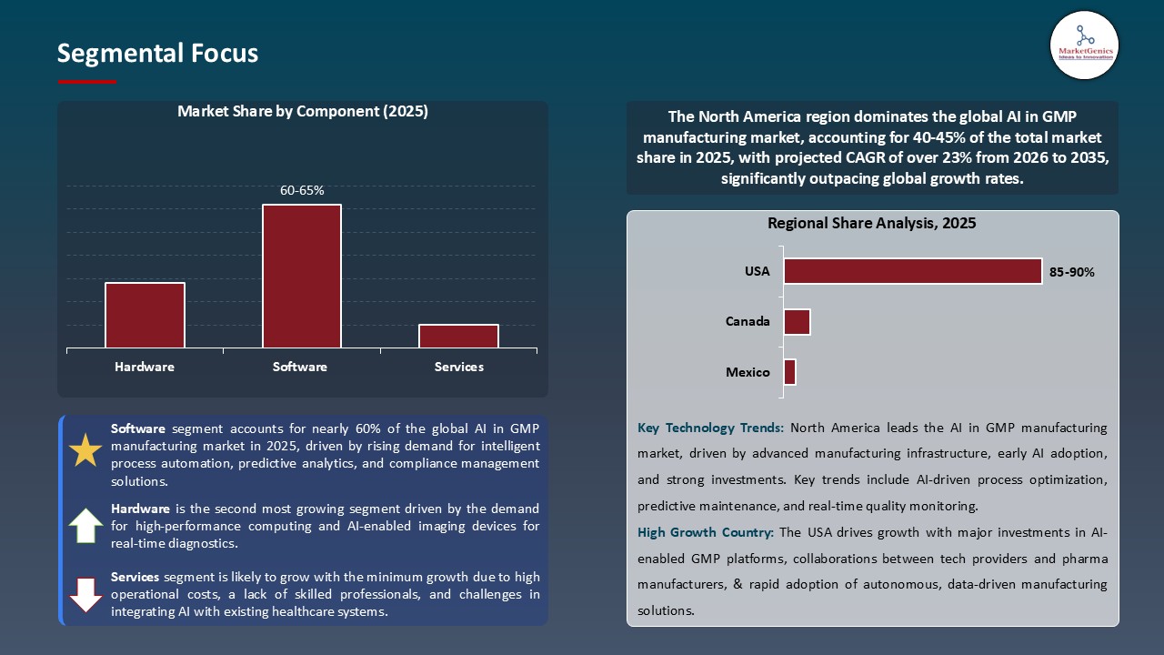 AI in GMP Manufacturing Market_Segmental Focus