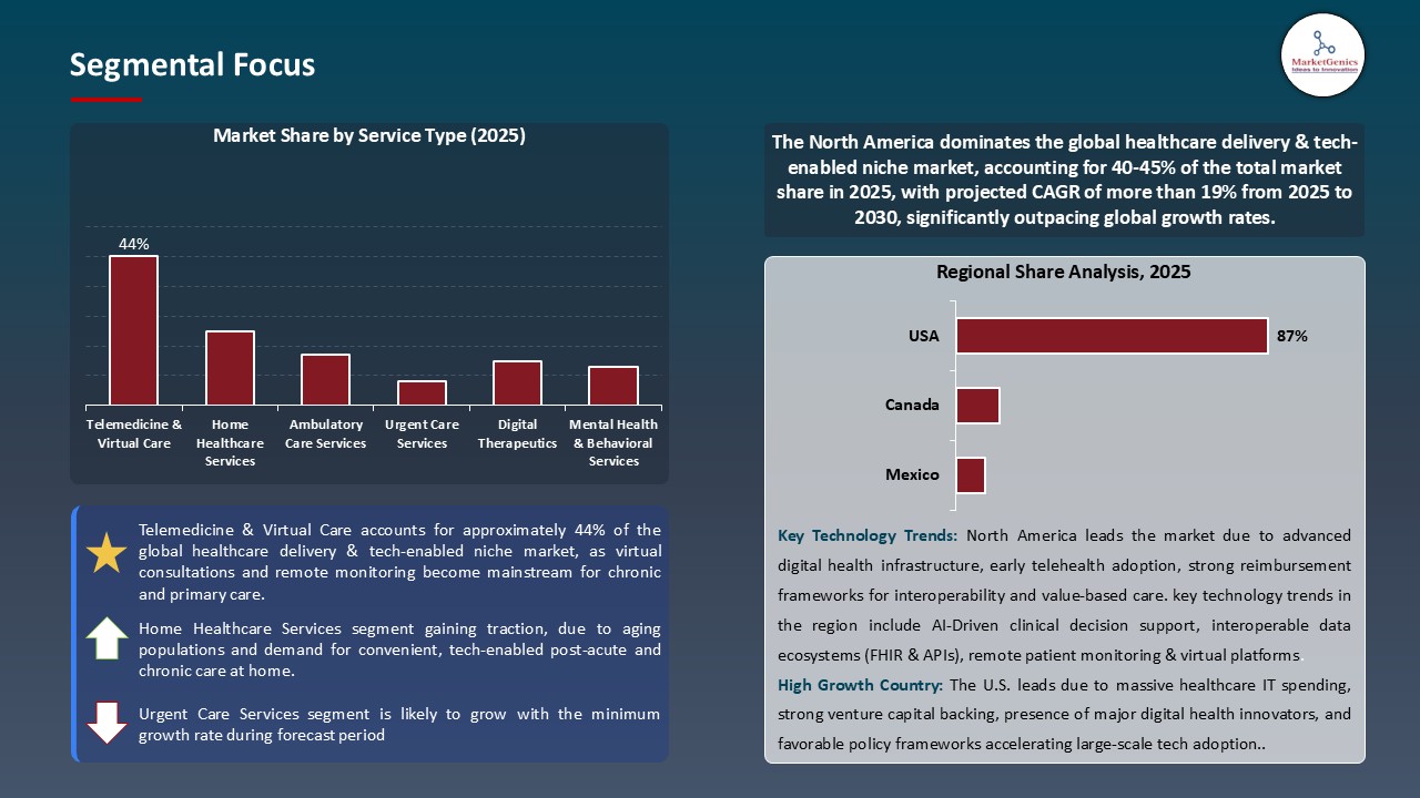 Healthcare Delivery & Tech-Enabled Niche Market_Segmental Focus