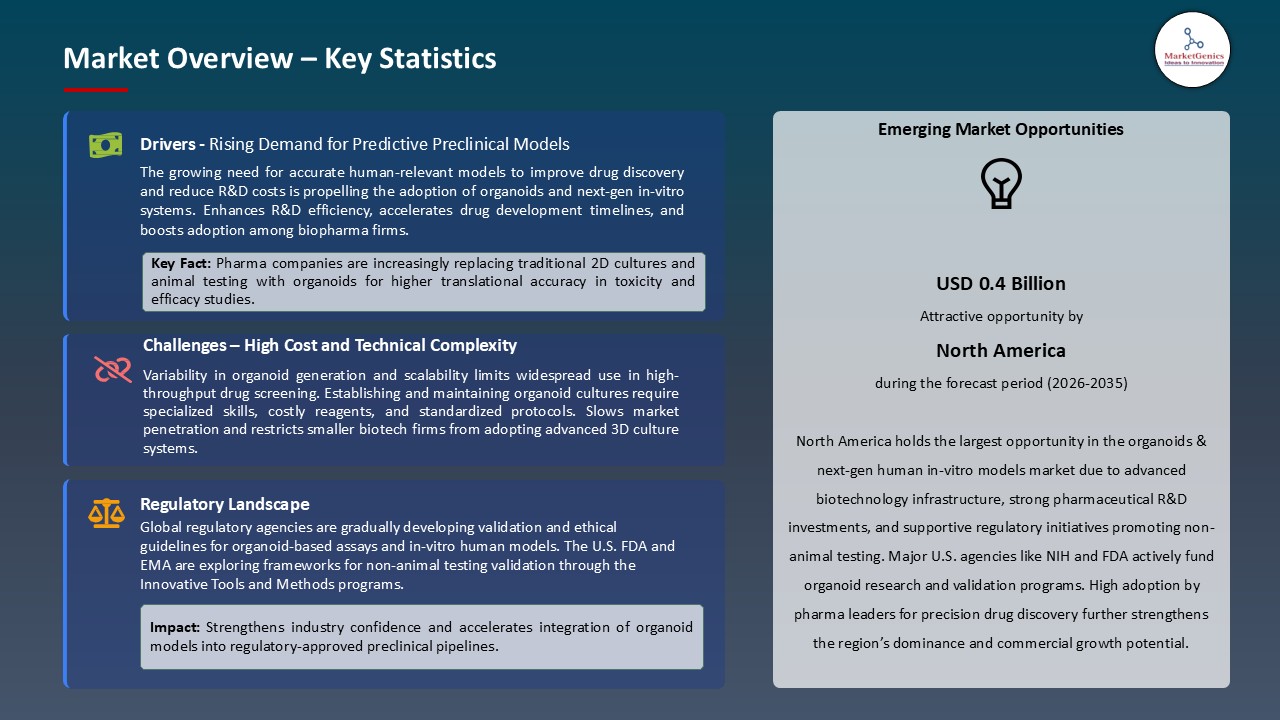 Organoids & Next-Gen Human In-Vitro Models Market_Overview – Key Statistics