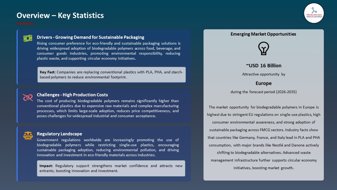 Global Biodegradable Polymers Market 2026-2035_Overview – Key Statistics