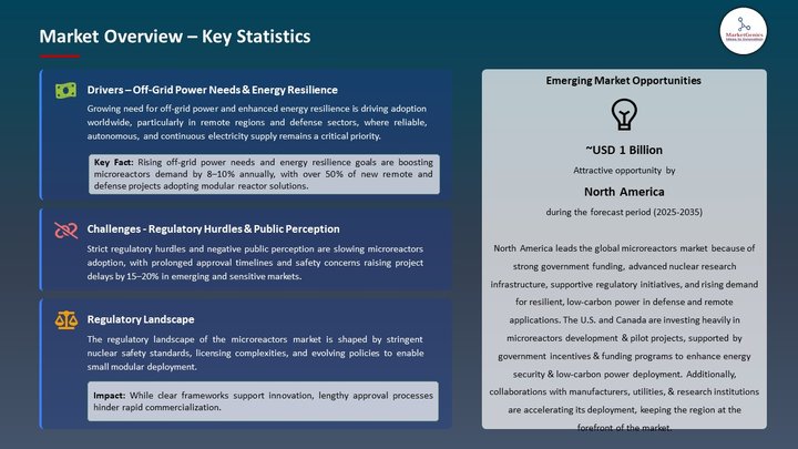 Microreactors Market Market Overview – Key Statistics