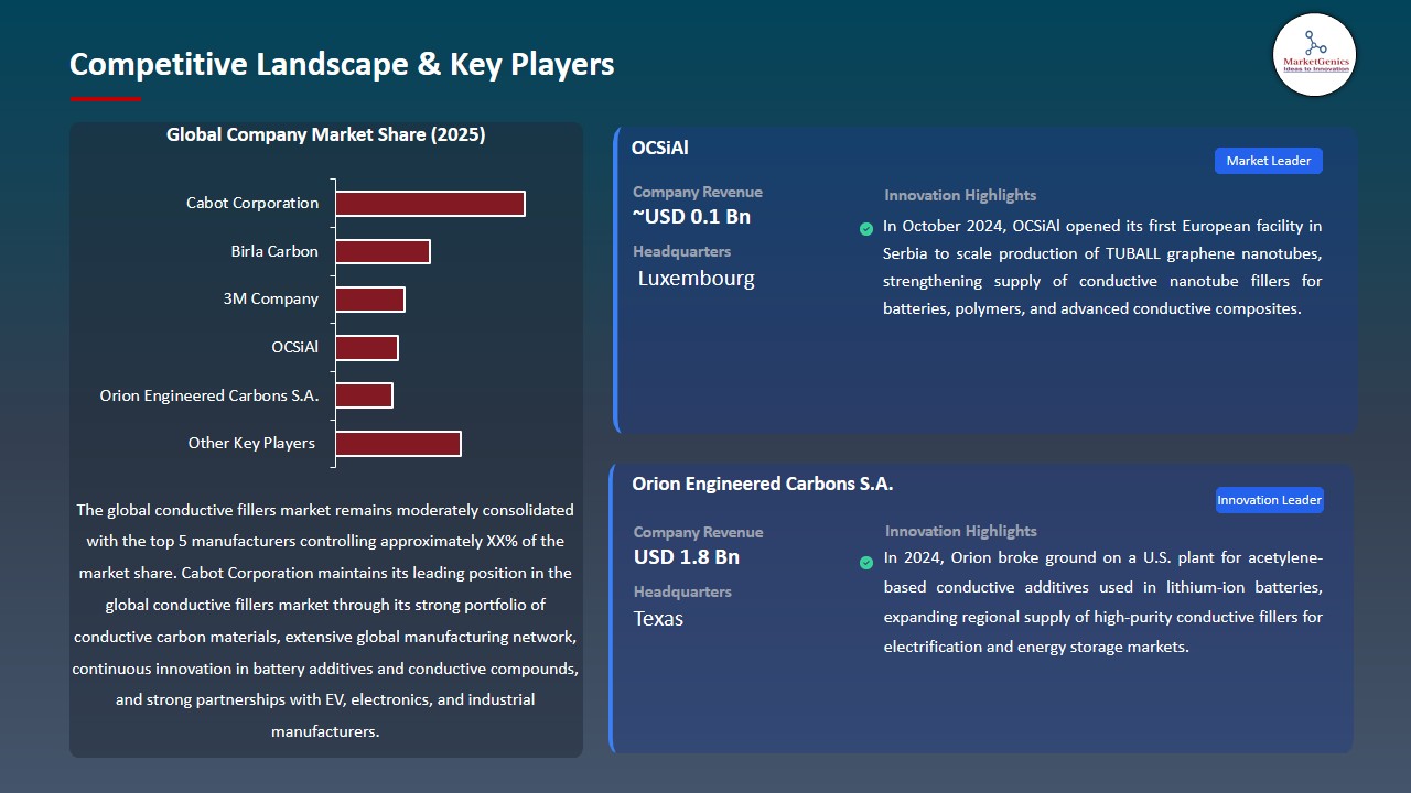 Conductive Fillers Market 2026-2035_Competitive Landscape & Key Players