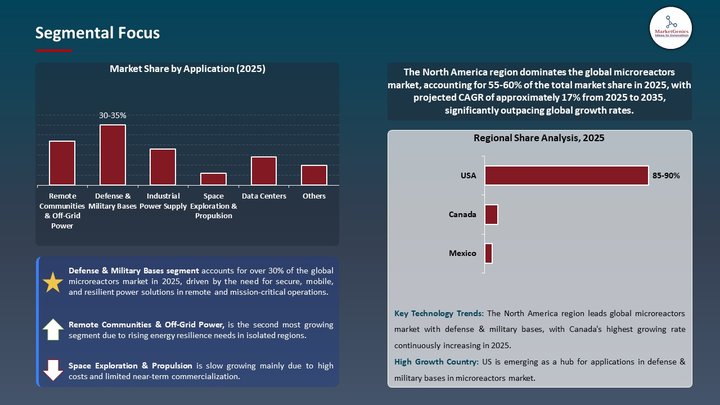 Microreactors Market Segmental Focus