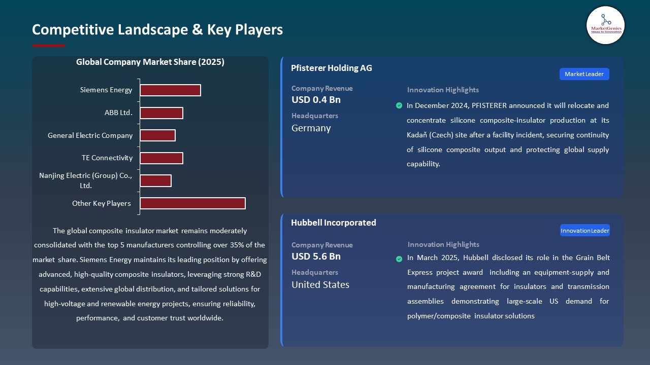 Global Composite Insulator Market 2026-2035_Competitive Landscape & Key Players