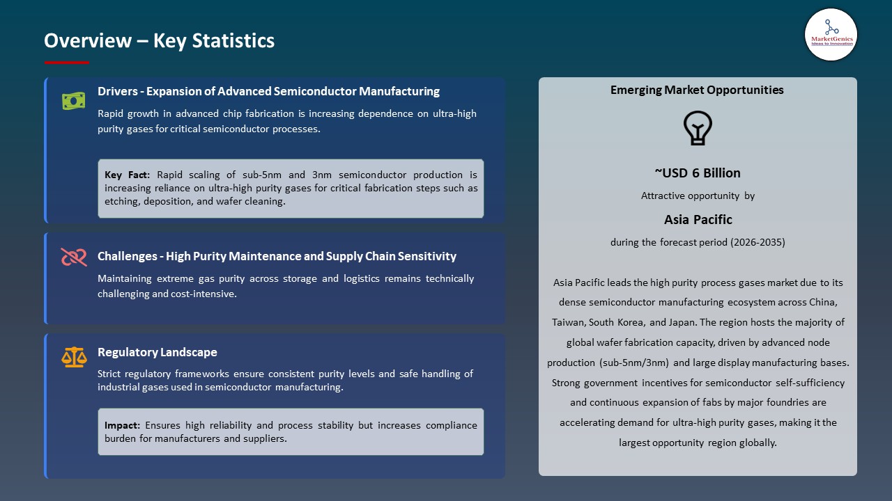 Global High Purity Process Gases Market 2026-2035_Overview – Key Statistics