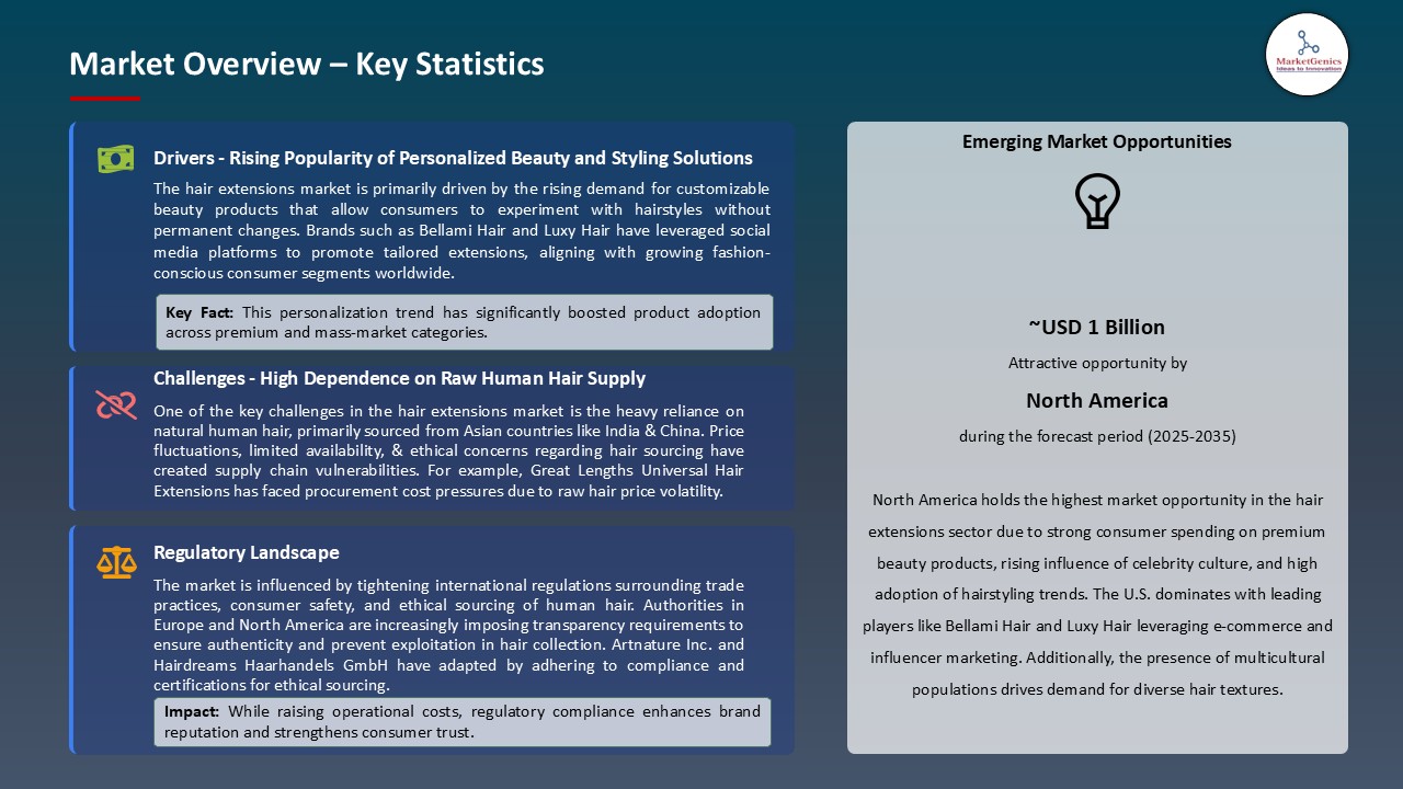 Hair Extensions Market_Overview – Key Statistics