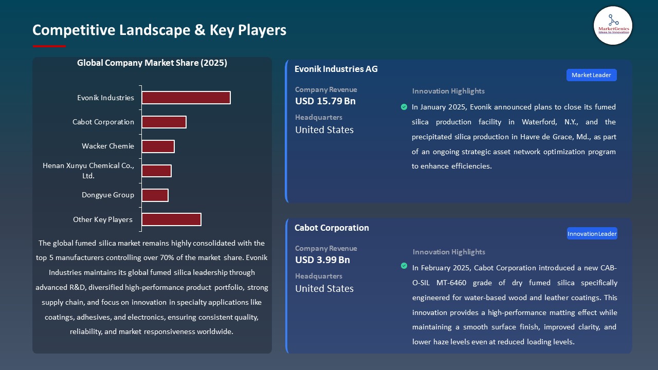 Global Fumed Silica Market 2026-2035_Competitive Landscape & Key Players