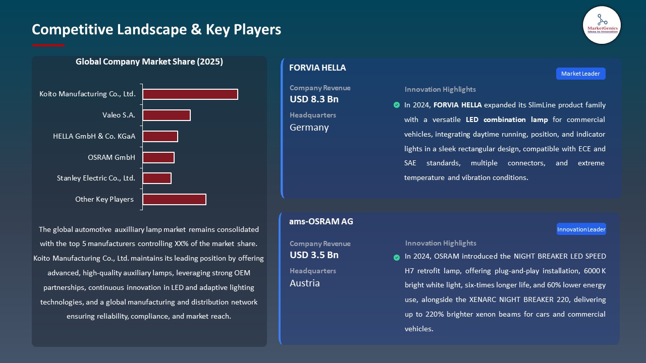 Global Automotive Auxilliary Lamp Market 2026-2035_Competitive Landscape & Key Players