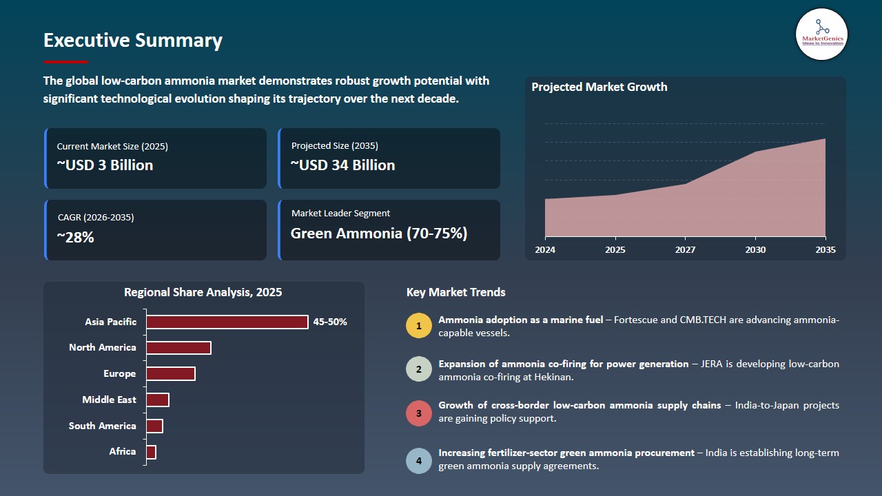 Low-carbon Ammonia Market 2026-2035_Executive Summary
