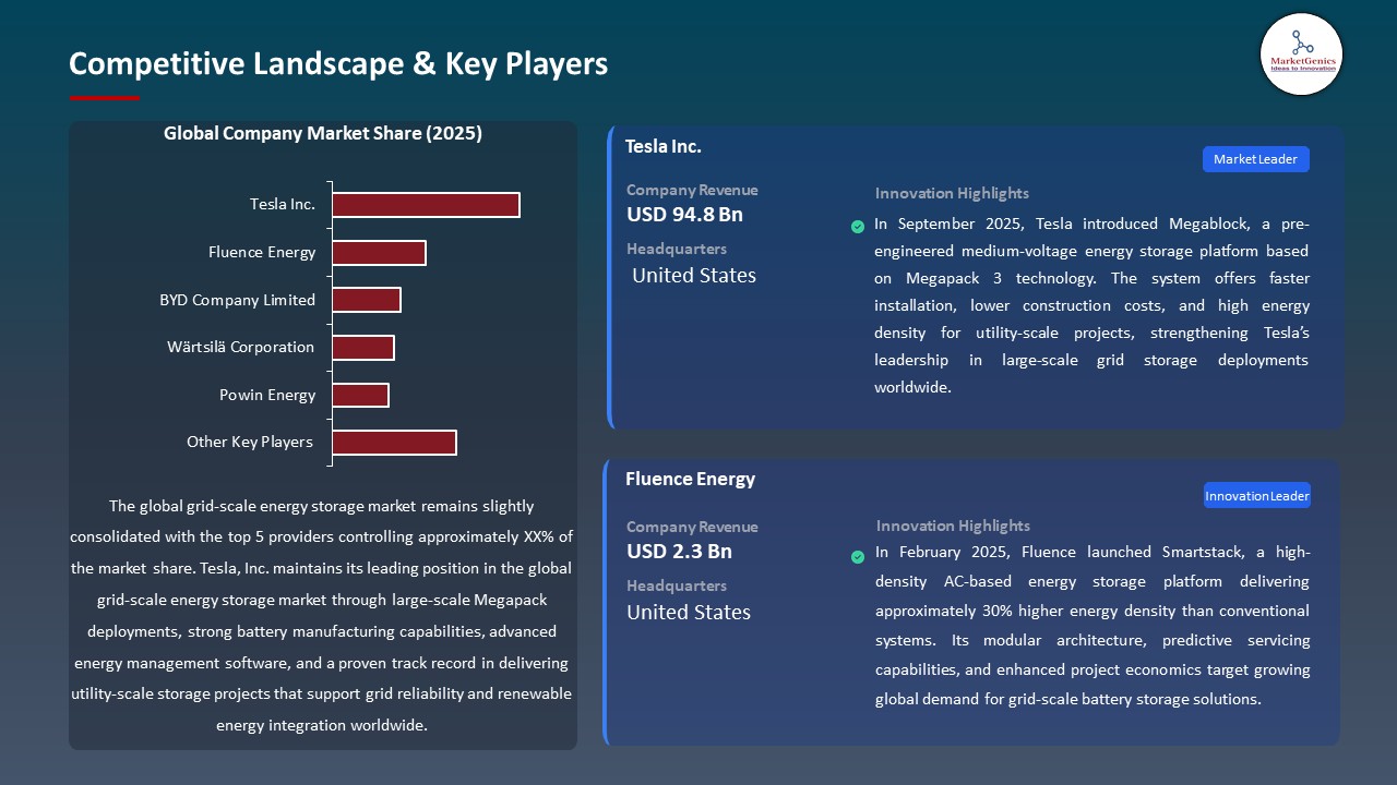 Global Grid-Scale Energy Storage Market 2026-2035_Competitive Landscape & Key Players