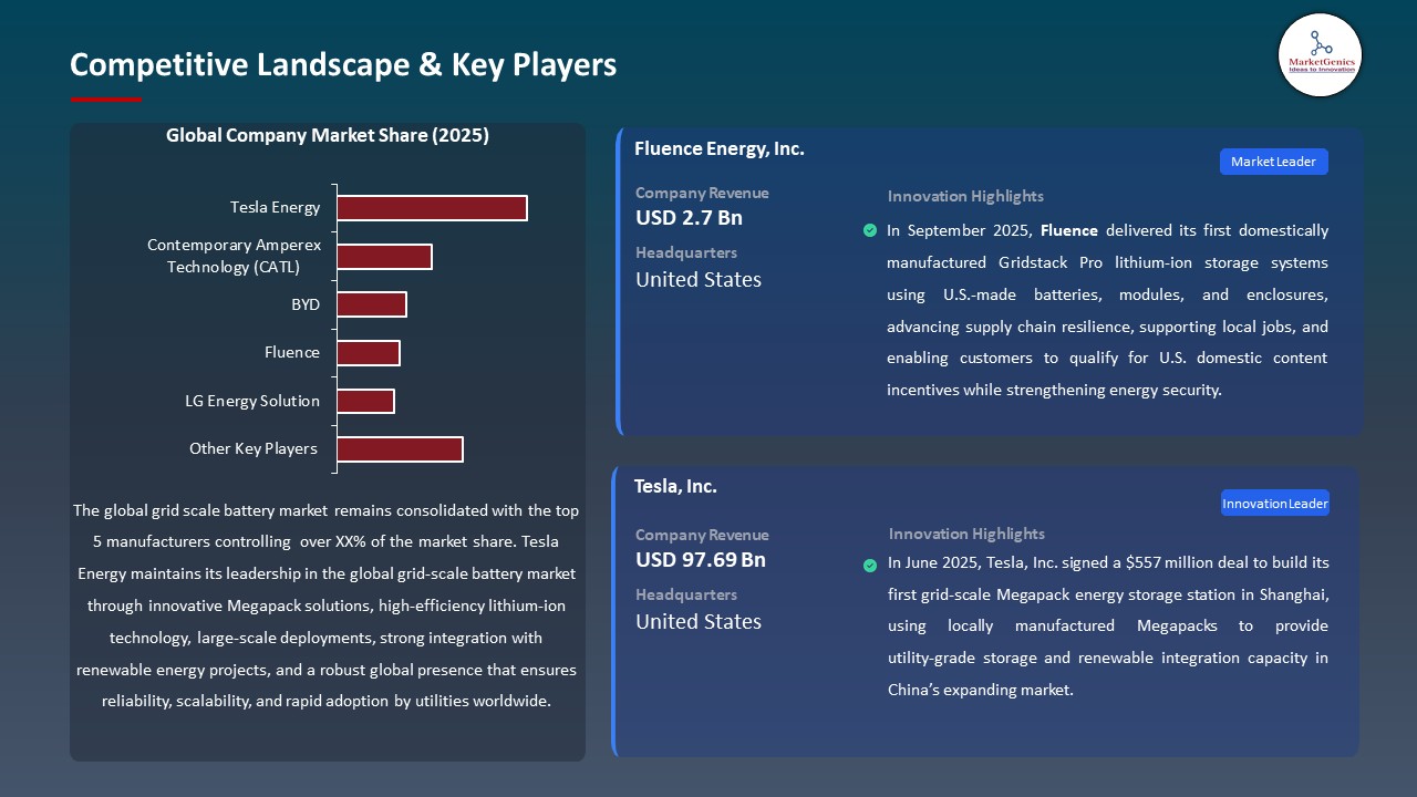 Global Grid Scale Battery Market 2026-2035_Competitive Landscape & Key Players