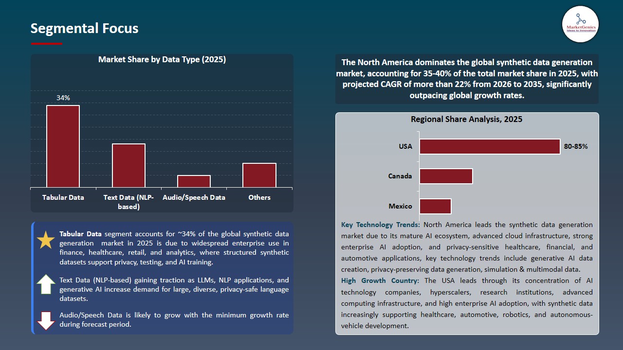 Synthetic Data Generation Market 2026-2035_Segmental Focus