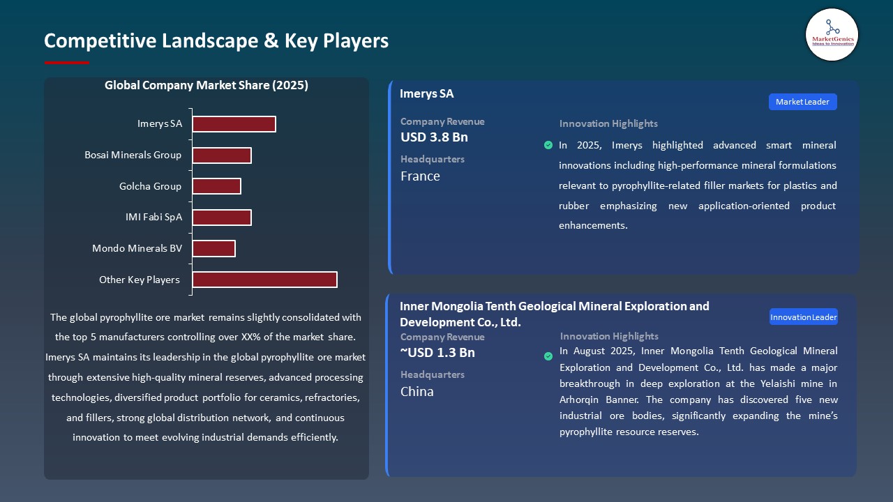 Global Pyrophyllite Ore Market 2026-2035_Competitive Landscape & Key Players