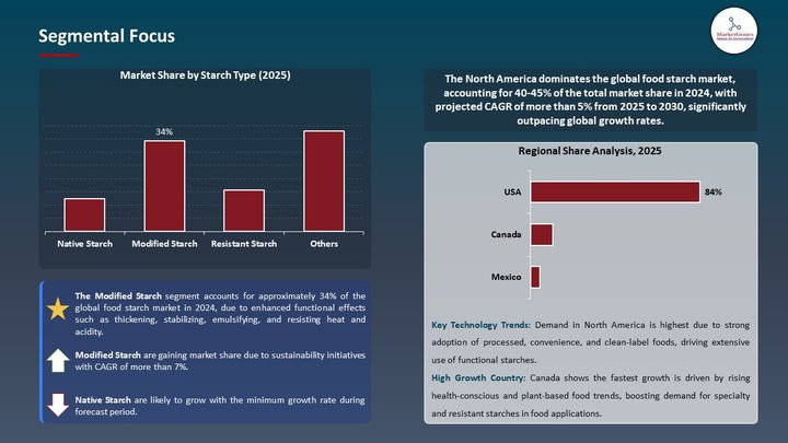 Food Starch Market Segmental Focus