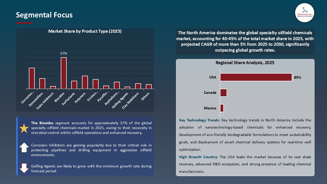 Specialty Oilfield Chemicals Market_Segmental Focus