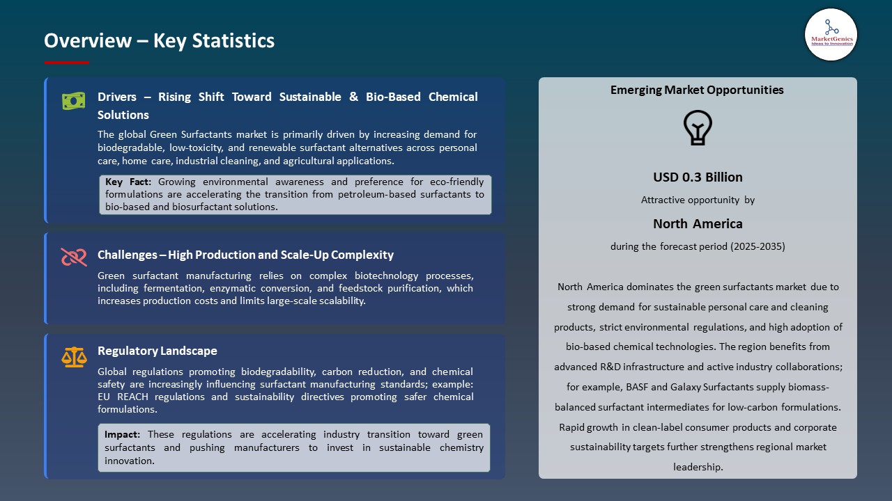 Green Surfactants Market 2025-2035_Overview – Key Statistics