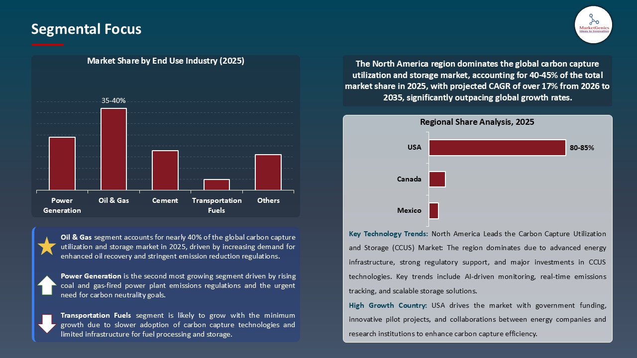 Carbon Capture Utilization and Storage (CCUS) Market_Segmental Focus