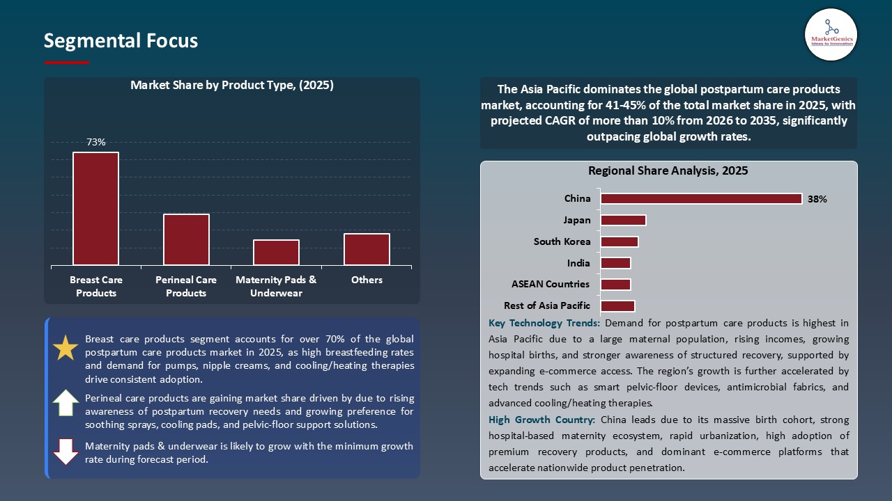Postpartum Care Products Market_Segmental Focus