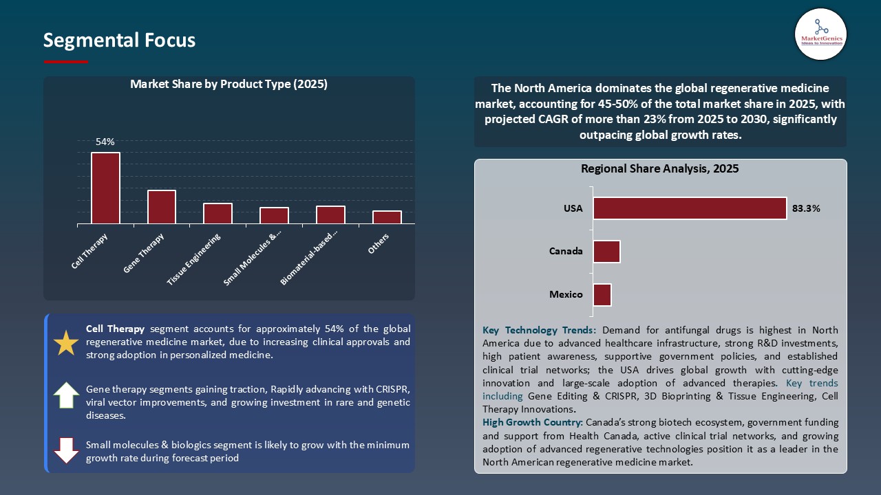 Regenrative Medicine Market_Segmental Focus