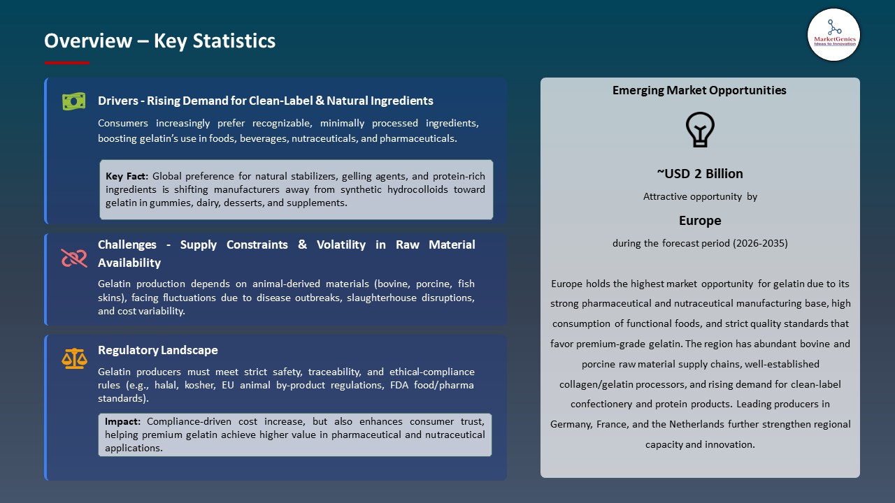 Global Gelatin Market 2025-2035_Overview – Key Statistics