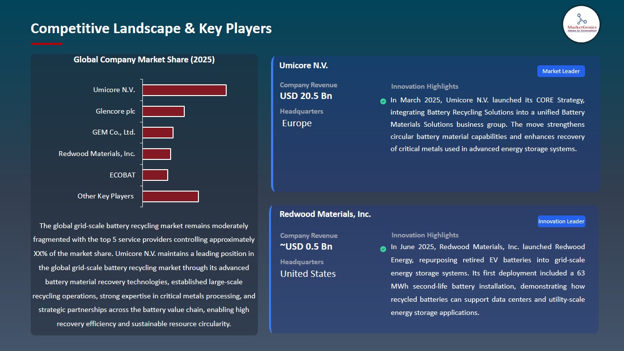 Grid-Scale Battery Recycling Market 2026-2035_Competitive Landscape & Key Players
