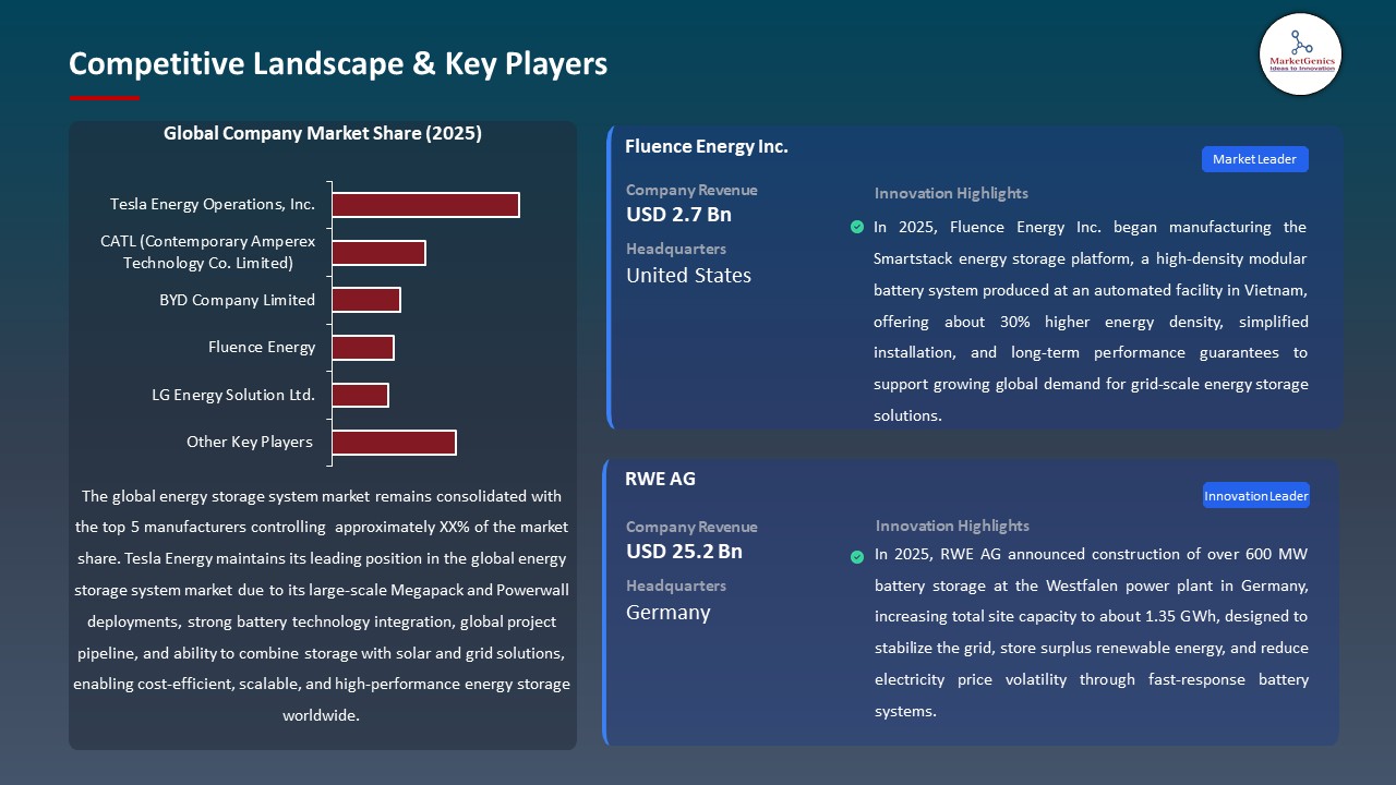 Global Energy Storage System Market 2026-2035_Competitive Landscape & Key Players