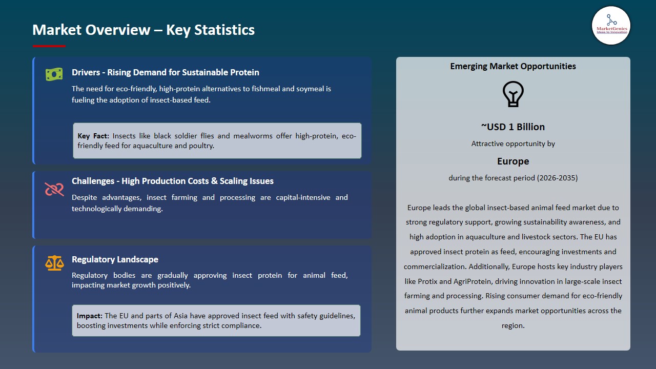 Insect-Based Animal Feed Market_Overview – Key Statistics