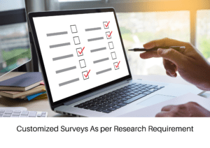 Customized Surveys As per Research Requirement